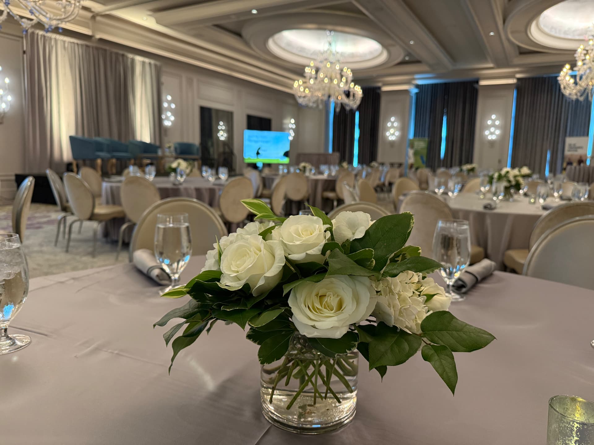 First Citizens Bank VIP Event, Charlotte 2025 — photo 6