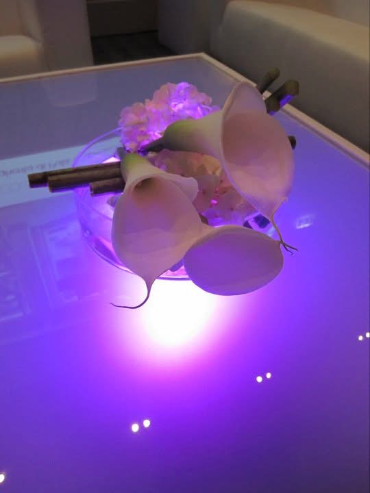 IMEX — Curated Private Event — photo 8